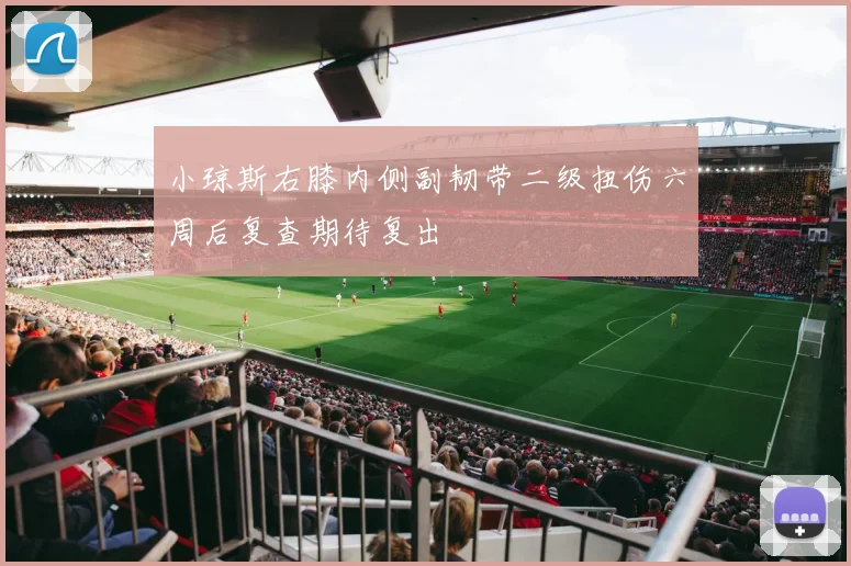 小琼斯右膝内侧副韧带二级扭伤六周后复查期待复出