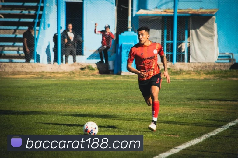 百家乐网站服务体系